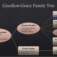 Family Tree_F008.PNG